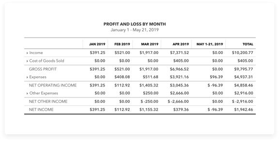 Profit and loss statement example