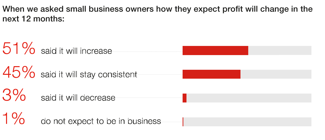 Bar chart showing how small business owners expect profits to change in the next 12 months
