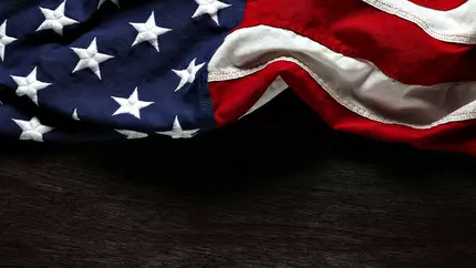 Veterans Day Graphic