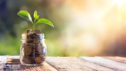 Invest business profit