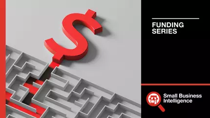 Red dollar sign entering an intricate maze, identifying funding challenges across different industries