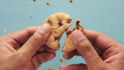 cookie in business owners hand as it crumbles in two pieces in front of light blue background