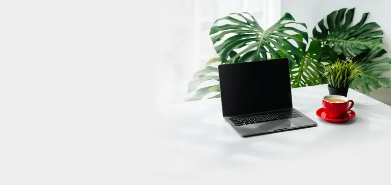 Laptop on a desk with a plant in the back. Background image.
